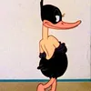 sa_nr18