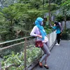 windy.sg