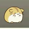 hamsterrrrr03