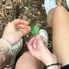 yelenactnn