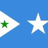 ahmednor1133