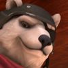 real_polar.patroller