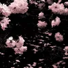 i_like_5_flowers