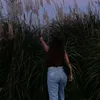 lvr_d6n