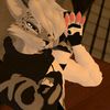 snowyhyena2055