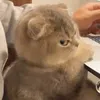 putlongnamayketchap