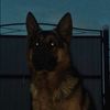 m1dnight__m0on
