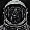 muttnikgames