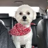 henryandmollysmom