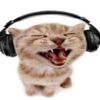 meow___x3