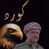 shaikhi.sndi