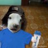 prietito_hermoso