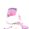 all_bosharei