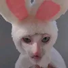 who_.mero