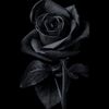 ajd_deone1235