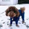 dodiedodes