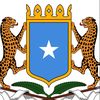 Abdifatah dulmi diid🇸🇴🇺🇸