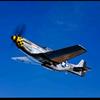 p51dmustang_merica