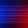 policecam333