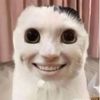 :>