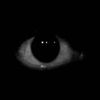 alhaja_alwaely