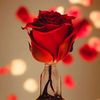 saher33224