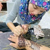 alia_hennaart