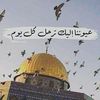 tariqsalah4