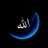 the_holy____quran