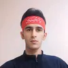 mirza_haider1