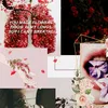 lilly__2923