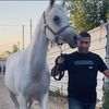 mohamed.azbarga