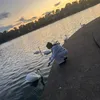 nevaecollins2