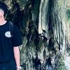 nzrlllaode