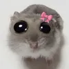 nt_eimi
