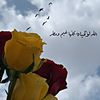 mlllby55