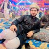 010abdelhamed