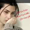 noornoo286