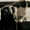 vm_m50