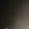 .clauriennnjt
