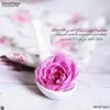 user718178909