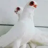 m__qwu