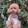 toypoodle_molly