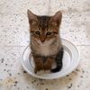 bouba_bouba08