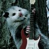 the_ratking25