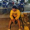 marmot389