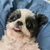 mhhmm11