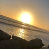 brian_gordo7383