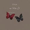 hassanmasoom7