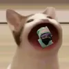 rhycapdethw